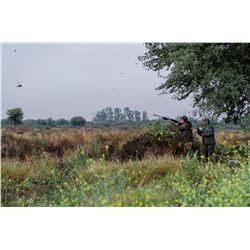 3 Day Argentina Dove Hunt for 2 Hunters