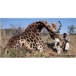 7-Day Giraffe Hunt for 2 Hunters