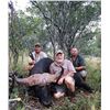 Image 4 : Restless Africa Safaris Seven Day Plains Game Hunt