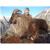 Image 1 : 5 Day New Zealand Bull Tahr Hunt