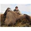 Image 4 : 5 Day New Zealand Bull Tahr Hunt