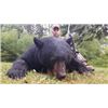 Image 1 : 7-Day New Brunswick Black Bear Hunt