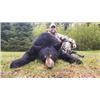 Image 2 : 7-Day New Brunswick Black Bear Hunt