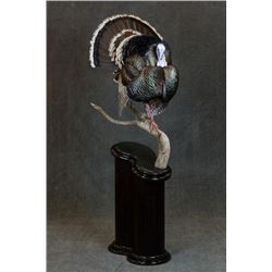 Lifesize Turkey Mount