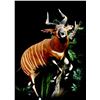 Image 3 : Shoulder Mount of Kudu Sized Animal from Truelife Taxidermy