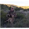 Image 2 : 2-Day Texas Aoudad Hunt with Trash Rack Ranch