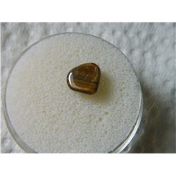 GEM STONE - TIGER'S EYE - POLISHED FREE FORM