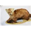 Image 2 : TAXIDERMY MARTIN