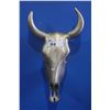 Image 1 : CAST METAL BULL SKULL
