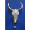 Image 1 : CAST METAL BULL SKULL