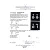 Image 3 : 1.44 ctw Diamond Earrings - 14KT White Gold