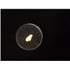 Image 1 : NATURAL BRITISH COLUMBIA GOLD NUGGET 0.59 GRAMS