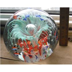 fish BIG amazing paperweight - GRANDE presse-papier extraordinaire images de poissons