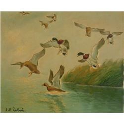 duck A M Roberts painting - peinture de canards