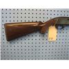 Image 2 : EG.--  Remington Nylon; Mohawk 10C; .22 LR; Semi Auto; 2 Clips