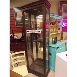 GLASS DISPLAY CABINET WITH INTERIOR LIGHT - 14" DEEP X 26" WIDE X 76" TALL - back glass cracked