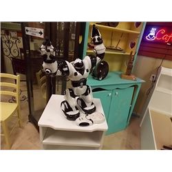 REMOTE CONTROL ROBOT - STR