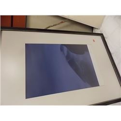 FRAMED PICTURE - LIMITED EDITION