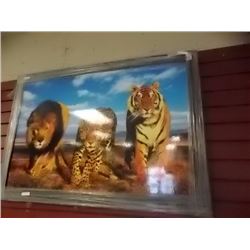 FRAMED PRINT ON BOARD "WILD CATS