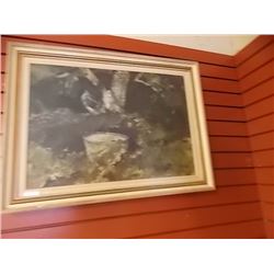 PICTURE - BUCKET IN GRASS COVERED GROUND