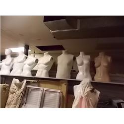 MANNEQUIN TORSO - SOLD IN-HOUSE