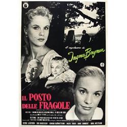  IL POSTO DELLE FRAGOLE