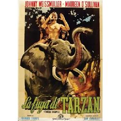  LA FUGA DI TARZAN