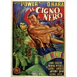  IL CIGNO NERO