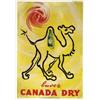 Image 1 :  BUVEZ CANADA DRY
