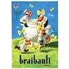 Image 1 :  BRAIBANTI