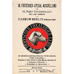  FOXTERRIER - SPECIAL - AUSSTELLUNG