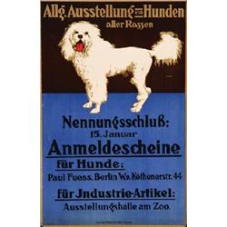  AUSSTELLUNG VON HUNDEN