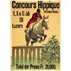Image 1 :  CONCOURS HIPPIQUE LUZERN