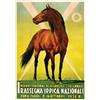 Image 1 :  I^ RASSEGNA IPPICA NAZIONALE