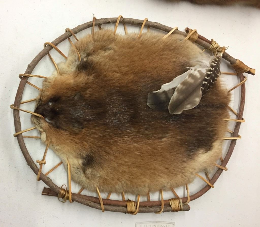 Deer Beaver and Muskrat Hides