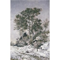 Joseph Théodore Coosemans 1828-1904, Belg…