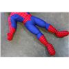 Image 2 : SPIDERMAN DOLL