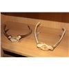 Image 1 : TWO SETS OF HORNS