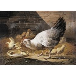 Albertus Verhoesen 1806-1881, Nederlandse…