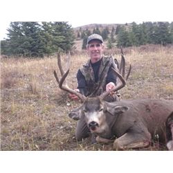 British Columbia Mule Deer