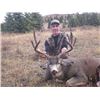 Image 1 : British Columbia Mule Deer