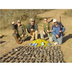 Mexico Dove Hunt