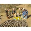 Image 1 : Mexico Dove Hunt