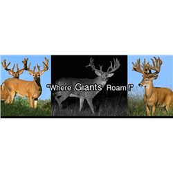 Ohio Whitetail Deer Hunt