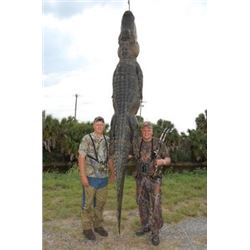 Florida Alligator Hunt