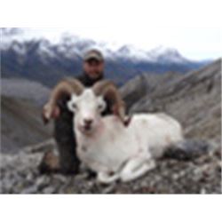 Canadian NWT Dall Sheep Hunt Reserve