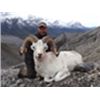 Image 1 : Canadian NWT Dall Sheep Hunt Reserve