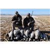Image 1 : Illinois Snow Goose Hunt