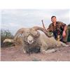 Image 1 : Argentina Big Game Sheep Hunt
