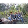 Image 1 : Colorado Elk Hunt